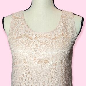 New Blush Lace Overlay Silky Satin Sleeveless Dress Small